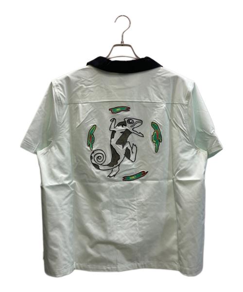 NIKE SB（ナイキエスビー）NIKE SB (ナイキエスビー) SB BOWLER SSBTNUP グリーン×ブラック サイズ:SIZE XL 未使用品の古着・服飾アイテム