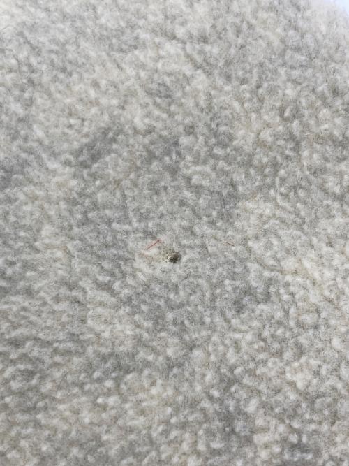 Patagonia（パタゴニア）Patagonia (パタゴニア) シンチラ・スナップT・プルオーバー アイボリー サイズ:Mの古着・服飾アイテム