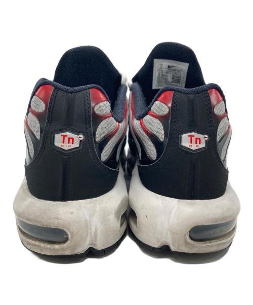 NIKE（ナイキ）NIKE (ナイキ) AIR MAX PLUS グレー サイズ:28cmの古着・服飾アイテム