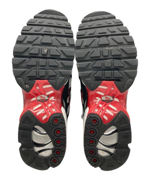 NIKE（ナイキ）NIKE (ナイキ) AIR MAX PLUS グレー サイズ:28cmの古着・服飾アイテム