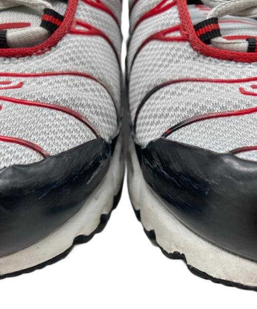 NIKE（ナイキ）NIKE (ナイキ) AIR MAX PLUS グレー サイズ:28cmの古着・服飾アイテム