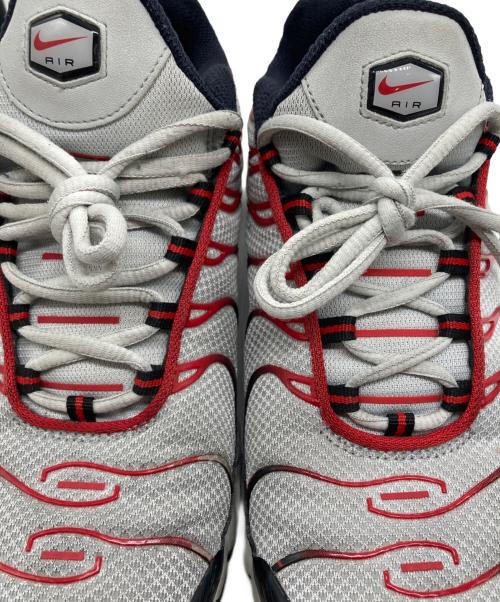 NIKE（ナイキ）NIKE (ナイキ) AIR MAX PLUS グレー サイズ:28cmの古着・服飾アイテム