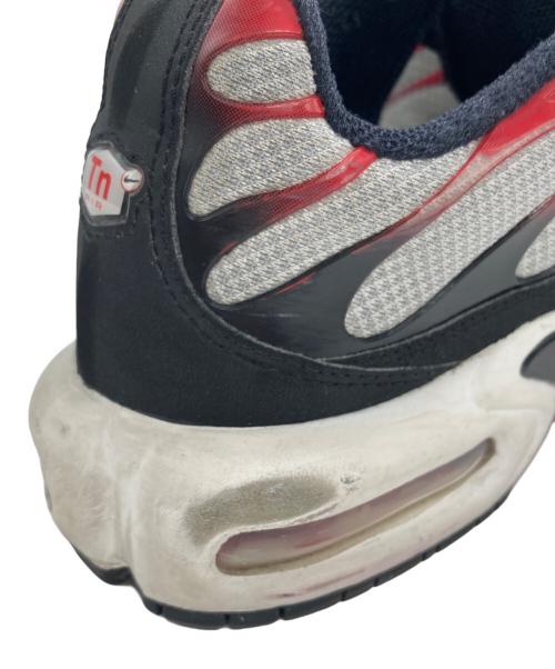 NIKE（ナイキ）NIKE (ナイキ) AIR MAX PLUS グレー サイズ:28cmの古着・服飾アイテム