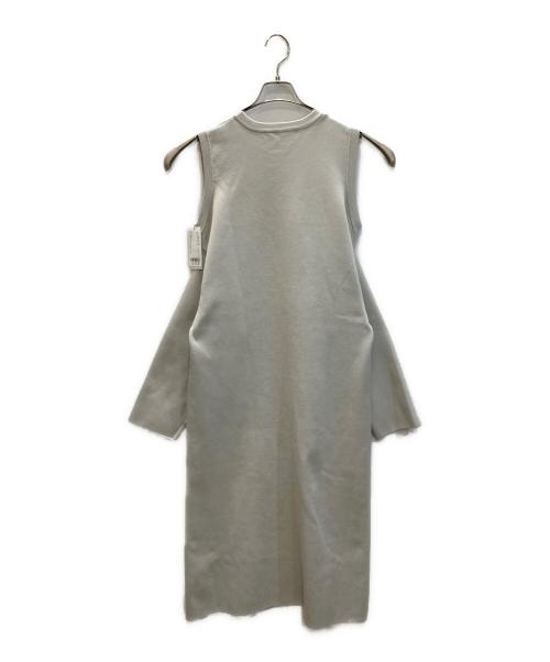 DRESSLAVE（ドレスレイブ）DRESSLAVE (ドレスレイブ) ワンピース グレー サイズ:38 未使用品の古着・服飾アイテム