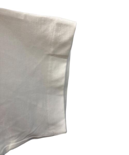 LACOSTE（ラコステ）LACOSTE (ラコステ) シェニールワニロゴルーズフィットTシャツ ホワイト サイズ:Ｍの古着・服飾アイテム