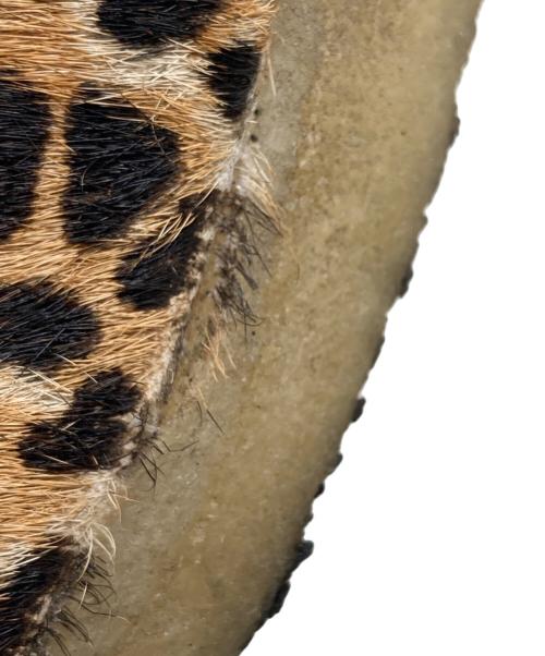 CLARKS ORIGINALS（クラークス オリジナルズ）CLARKS ORIGINALS (クラークス オリジナルズ) Wallabee Leopard / ワラビー レオパード ブラウン サイズ:US 8の古着・服飾アイテム