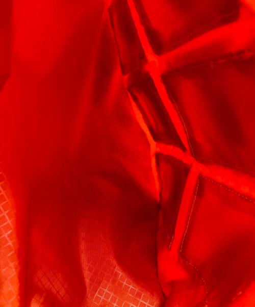 GREGORY（グレゴリー）GREGORY (グレゴリー) NEXUSVII (ネクサスセブン) PARASITE KNAPSAC オレンジ×レッド 未使用品の古着・服飾アイテム