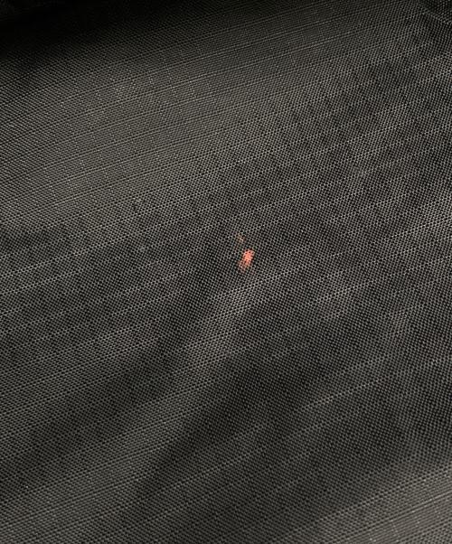 GREGORY（グレゴリー）GREGORY (グレゴリー) FREAK'S STORE (フリークストア) 別注バックパック ブラックの古着・服飾アイテム