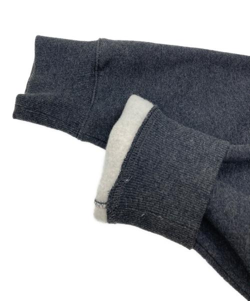 THE NORTH FACE（ザ ノース フェイス）THE NORTH FACE (ザ ノース フェイス) リアビューフルジップフーディー グレー サイズ:SIZE Lの古着・服飾アイテム