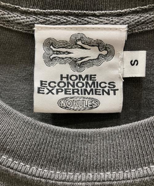 HOME ECONOMICS EXPERIMENT（ホーム エコノミクス エクスペリメント）HOME ECONOMICS EXPERIMENT (ホーム エコノミクス エクスペリメント) Imagine Tシャツ グレー サイズ:Sの古着・服飾アイテム