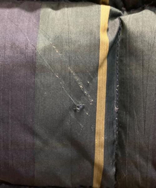 POLO SPORT（ポロスポーツ）POLO SPORT (ポロスポーツ) チェックダウンベスト グリーン サイズ:SIZE Sの古着・服飾アイテム