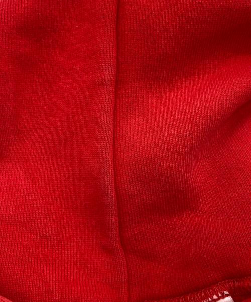 Champion REVERSE WEAVE（チャンピオン リバース ウィーブ）Champion REVERSE WEAVE (チャンピオン リバース ウィーブ) 80’s リバースウィーブ プルオーバー パーカー レッド サイズ:SIZE Lの古着・服飾アイテム