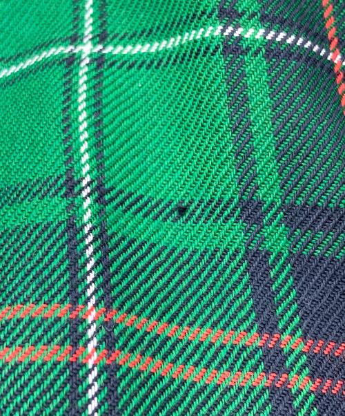 POLO RALPH LAUREN（ポロ・ラルフローレン）POLO RALPH LAUREN (ポロ・ラルフローレン) チェックカーゴパンツ グリーン サイズ:SIZE 30の古着・服飾アイテム