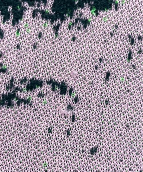 LAD MUSICIAN（ラッドミュージシャン）LAD MUSICIAN (ラッドミュージシャン) フラワーニット ブラック サイズ:44の古着・服飾アイテム