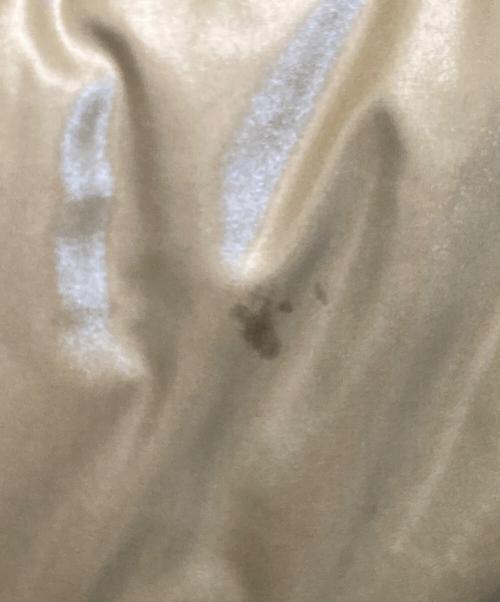 DUVETICA（デュベティカ）DUVETICA (デュベティカ) Alia ラクーンファー ダウンコート ベージュ サイズ:40の古着・服飾アイテム