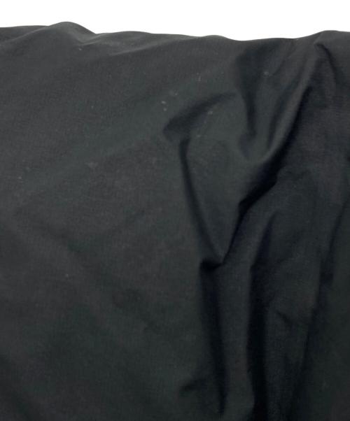 THE NORTH FACE（ザ ノース フェイス）THE NORTH FACE (ザ ノース フェイス) EX ビレイヤーパーカ ブラック サイズ:SIZE Lの古着・服飾アイテム