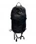Patagonia（パタゴニア）の古着「テラヴィア・パック 14L バックパック」｜ブラック