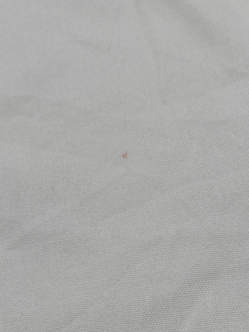 BROOKS BROTHERS（ブルックスブラザーズ）BROOKS BROTHERS (ブルックスブラザーズ) makers ボタンダウンシャツ ベージュ サイズ:15 1/2-3の古着・服飾アイテム