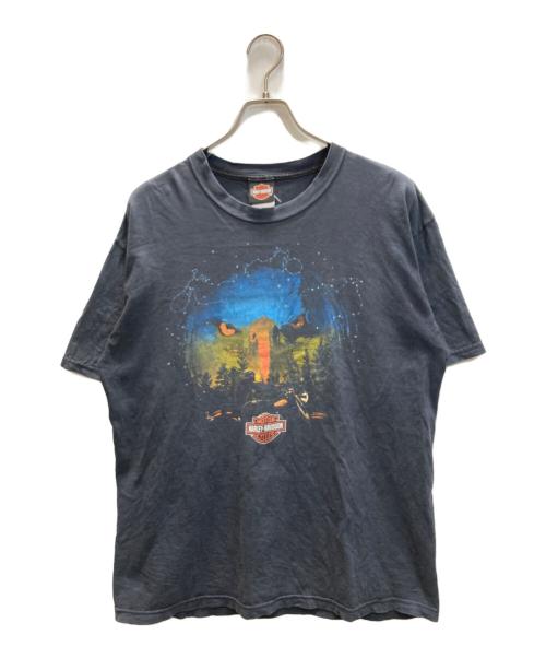 HARLEY-DAVIDSON（ハーレーダビッドソン）HARLEY-DAVIDSON (ハーレーダビッドソン) 両面プリントTシャツ ネイビー サイズ:SIZE Lの古着・服飾アイテム