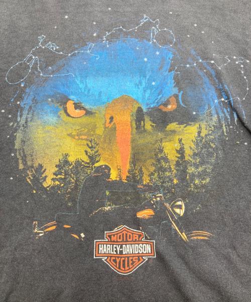 HARLEY-DAVIDSON（ハーレーダビッドソン）HARLEY-DAVIDSON (ハーレーダビッドソン) 両面プリントTシャツ ネイビー サイズ:SIZE Lの古着・服飾アイテム