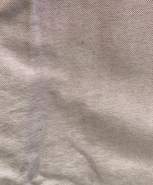 RALPH LAUREN（ラルフローレン）RALPH LAUREN (ラルフローレン) ボタンダウンシャツ パープル サイズ:XLの古着・服飾アイテム