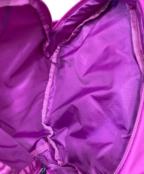 THE NORTH FACE（ザ ノース フェイス）THE NORTH FACE (ザ ノース フェイス) Tellus 42 リュック ピンクの古着・服飾アイテム