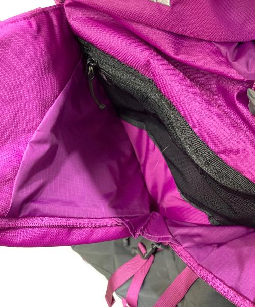 THE NORTH FACE（ザ ノース フェイス）THE NORTH FACE (ザ ノース フェイス) Tellus 42 リュック ピンクの古着・服飾アイテム