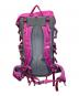 THE NORTH FACE (ザ ノース フェイス) Tellus 42 リュック ピンク：8000円