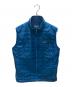Patagonia（パタゴニア）の古着「Men's Nano Puff Vest メンズ・ナノ・パフ・ベスト」｜ブルー