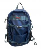 BRIEFING×ANAブリーフィング×アナ）の古着「VERSATILE PACK M」｜ブルー