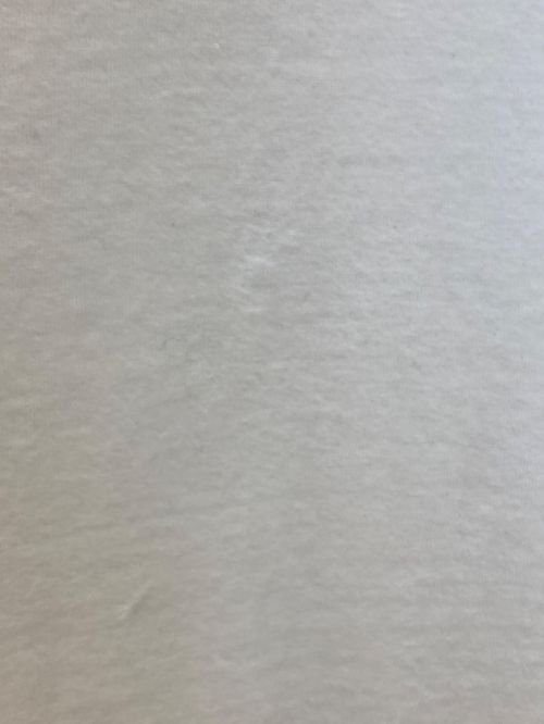 FACETASM（ファセッタズム）FACETASM (ファセッタズム) フリル袖ワンピース ピンク サイズ:2の古着・服飾アイテム