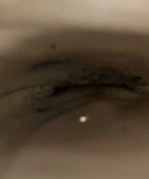 INTER-CHAUSSURES（インターショシュール）INTER-CHAUSSURES (インターショシュール) ビジューモカシューズ ブラック サイズ:36の古着・服飾アイテム