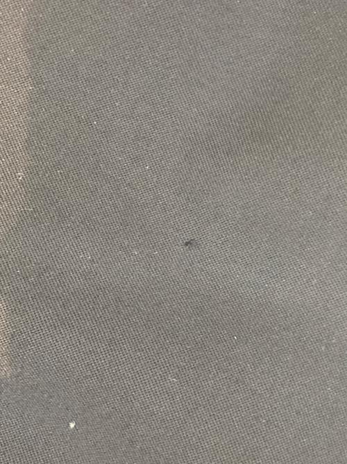 tricot COMME des GARCONS（トリココムデギャルソン）tricot COMME des GARCONS (トリココムデギャルソン) スカート　TS-04017S ネイビー サイズ:Sの古着・服飾アイテム