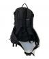 Patagonia (パタゴニア) スノードリフター・パック 20L 48192 ブラック：11000円
