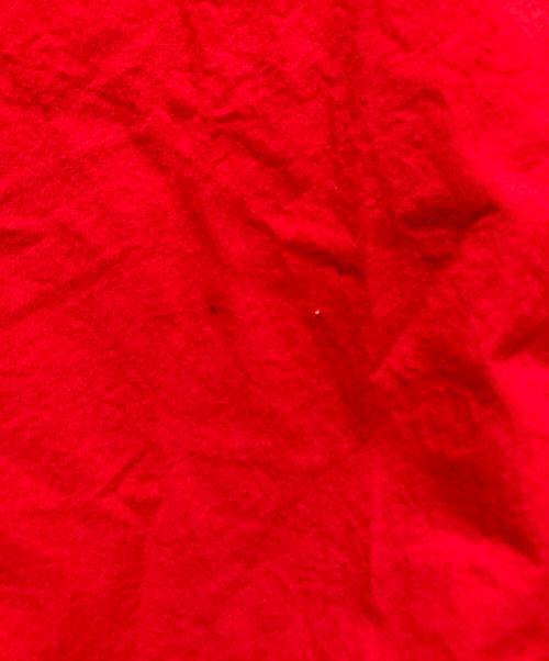 Veritecoeur（ヴェリテクール）Veritecoeur (ヴェリテクール) コットンサイドギャザーワンピース LN-04 レッド サイズ:FREEの古着・服飾アイテム