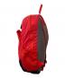 THE NORTH FACE (ザ ノース フェイス) フライウェイトリーコン リュック/バックパック　NM81409 レッド：4500円