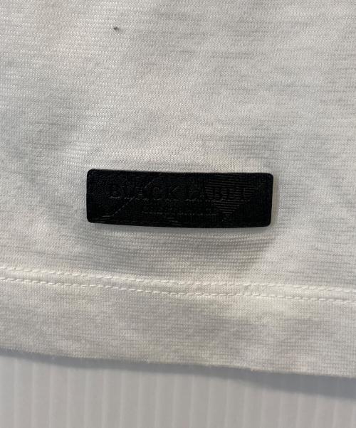 BLACK LABEL CRESTBRIDGE（ブラックレーベル クレストブリッジ）BLACK LABEL CRESTBRIDGE (ブラックレーベル クレストブリッジ) グラデーションTシャツ 51P04-203-02 ホワイト サイズ:Lの古着・服飾アイテム