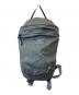ARC'TERYX（アークテリクス）の古着「INDEX 15 BACKPACK 18283 バッグ」｜グレー
