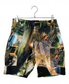 Lafayetteラファイエット）の古着「CROSSING NIGHT ALLOVER CARGO SHORTS（クロッシングナイト オールオーバー カーゴショーツ）　LS211305」｜マルチカラー