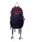 Columbia（コロンビア）の古着「キャッスルロック15Lバックパック 220 PU8387」｜パープル