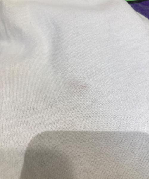 FRUIT OF THE LOOM（フルーツオブザルーム）FRUIT OF THE LOOM (フルーツオブザルーム) プリントTシャツ ホワイト サイズ:Lの古着・服飾アイテム