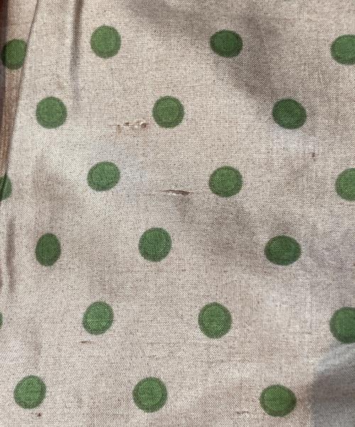 BUNON（ブノン）BUNON (ブノン) Tuck Pants / シルクドットイージーパンツ ベージュ×グリーン サイズ:Lの古着・服飾アイテム