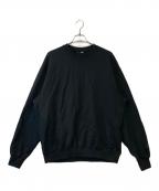 THE NORTH FACEザ ノース フェイス）の古着「Rock Steady Crew NT62361 スウェット」｜ブラック