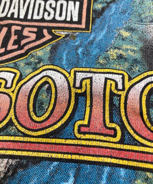 HARLEY-DAVIDSON（ハーレーダビッドソン）HARLEY-DAVIDSON (ハーレーダビッドソン) 00s プリントTシャツ ブラック サイズ:Lの古着・服飾アイテム