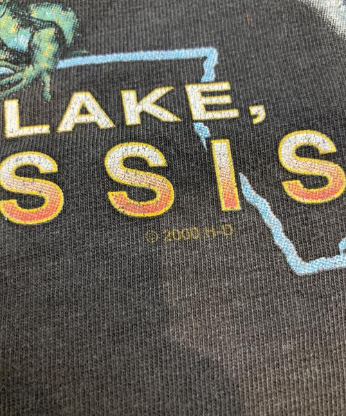 HARLEY-DAVIDSON（ハーレーダビッドソン）HARLEY-DAVIDSON (ハーレーダビッドソン) 00s プリントTシャツ ブラック サイズ:Lの古着・服飾アイテム