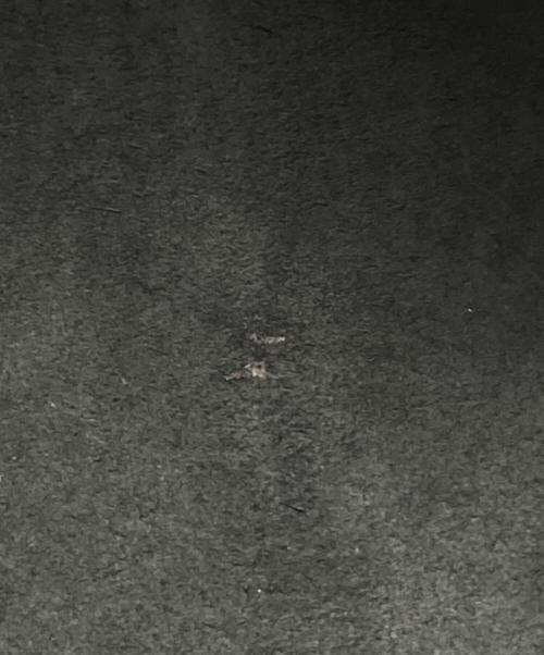 LOUIS VUITTON（ルイ ヴィトン）LOUIS VUITTON (ルイ ヴィトン) スピーディ25 ミニボストンバッグ M43012 エピ M43012 VI0990 ブラックの古着・服飾アイテム