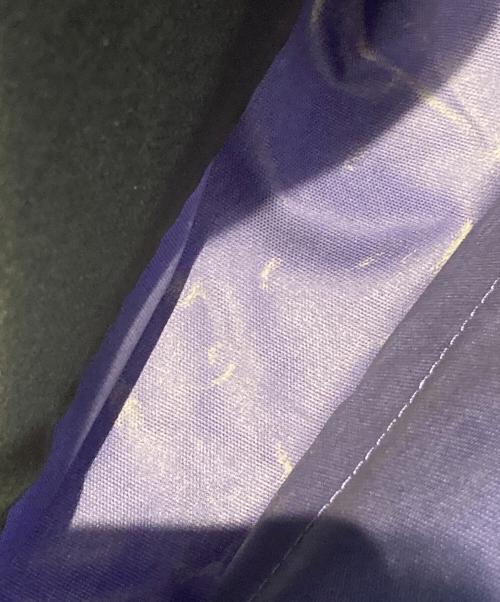 EASTPAK（イーストパック）EASTPAK (イーストパック) リュック パープルの古着・服飾アイテム