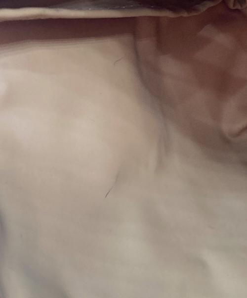 LONGCHAMP（ロンシャン）LONGCHAMP (ロンシャン) ルプリアージュトートバッグ 1623089545 レッドの古着・服飾アイテム