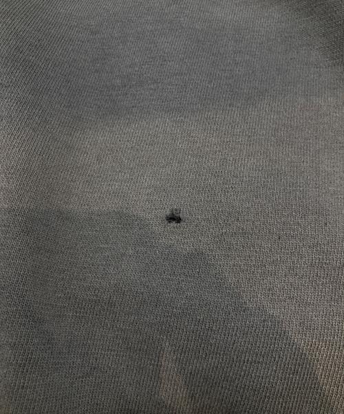 stussy（ステューシー）stussy (ステューシー) スウェット グレー サイズ:Lの古着・服飾アイテム