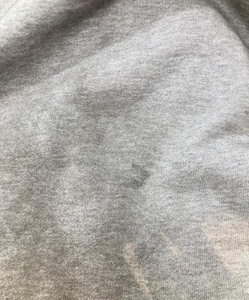 PEOPLESENSE（ピープルセンス）PEOPLESENSE (ピープルセンス) フェイスマスクファスナーパーカー グレー サイズ:Mの古着・服飾アイテム